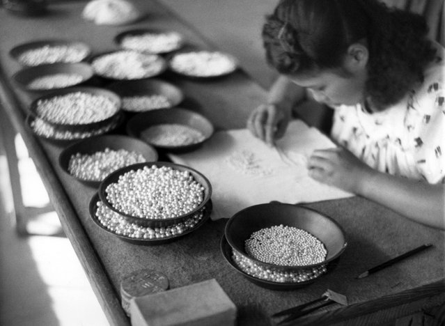 Seorang gadis Jepang secara hati-hati menyortir butiran mutiara yang dikembangkan di lahan budidaya mutiara Kokichi Mikimoto, di dekat ujung Semenanjung Ise, Jepang, 12 Oktober 1949. Mutiara ini disortir berdasarkan warna, ukuran, serta bentuknya. (Photo by AP Photo via The Atlantic)