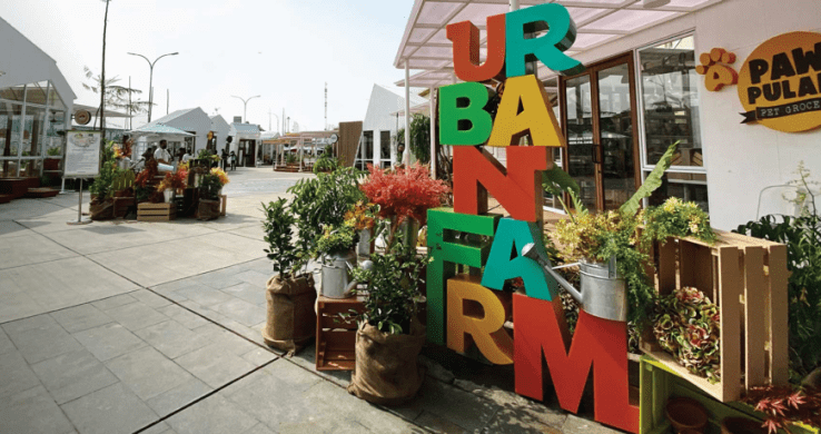 Kuliner PIK: Urban Farm Kuliner PIK: Urban Farm