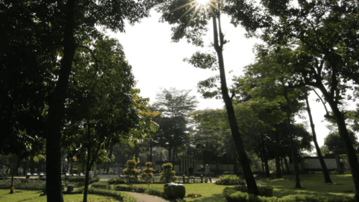 5. Taman di Jakarta Timur: Taman Flamboyan