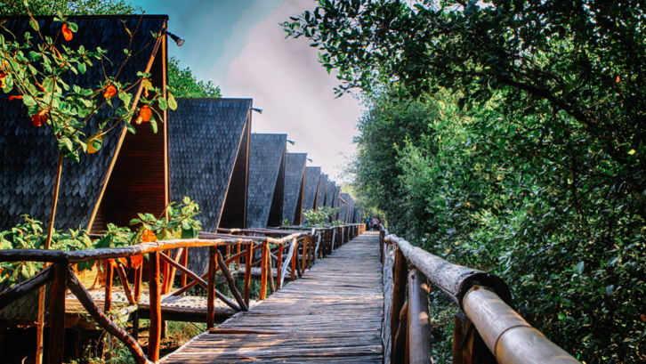 Tiap sudut Taman Mangrove menyajikan momen yang dramatis. (Foto: jakartamangrove.id)
