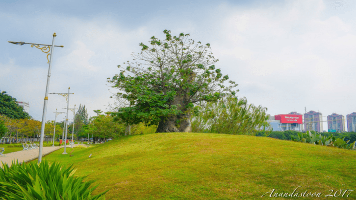 Taman Waduk Ria Rio bukan sekadar untuk beraktivitas fisik, tapi juga bisa menjadi tempat aesthetic di Jakarta dengan background foto yang keren. (Foto: anandastoon.com)
