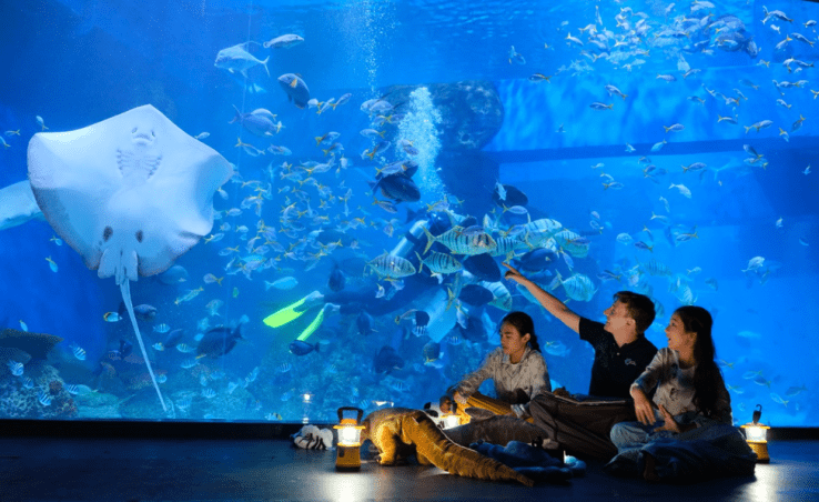 3. Tempat Healing di Jakarta: Jakarta Aquarium Safari