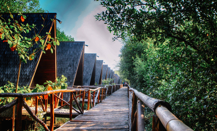 4. Tempat Healing di Jakarta: Taman Wisata Alam Mangrove Angke Kapuk