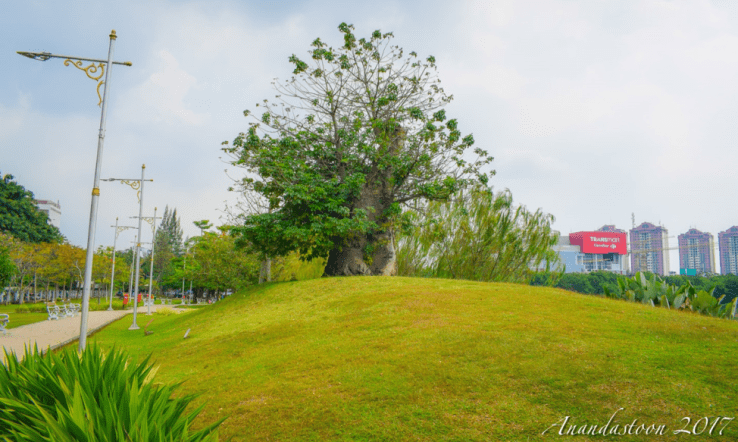 10. Tempat Healing di Jakarta: Taman Waduk Ria Rio