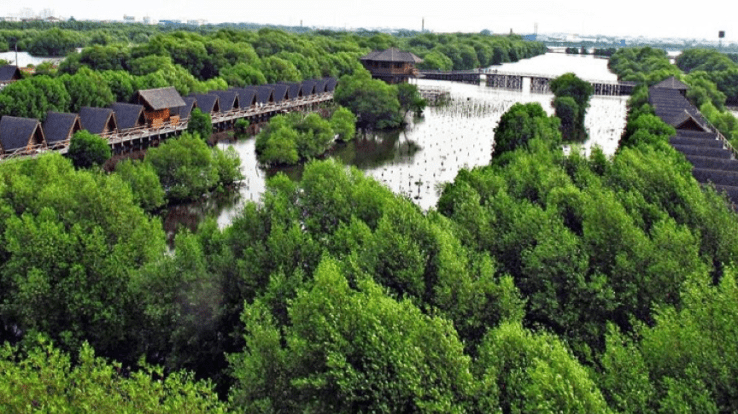 4. Tempat Jalan-Jalan di Jakarta: Taman Wisata Alam Angke