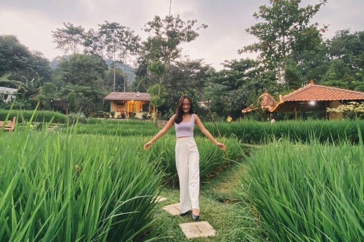 Tempat Wisata di Sentul: Sawah Segar Sentul