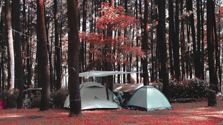 Tempat Wisata di Sentul: Taman Wisata Alam Gunung Pancar