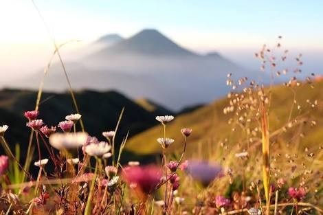7 Motivasi Unik Mendaki Gunung, Kamu Yang Mana? 7 Motivasi Unik Mendaki Gunung, Kamu Yang Mana?