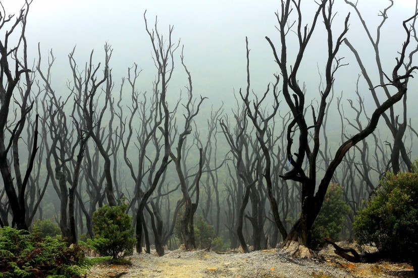 7 Motivasi Unik Mendaki Gunung, Kamu Yang Mana? 7 Motivasi Unik Mendaki Gunung, Kamu Yang Mana?