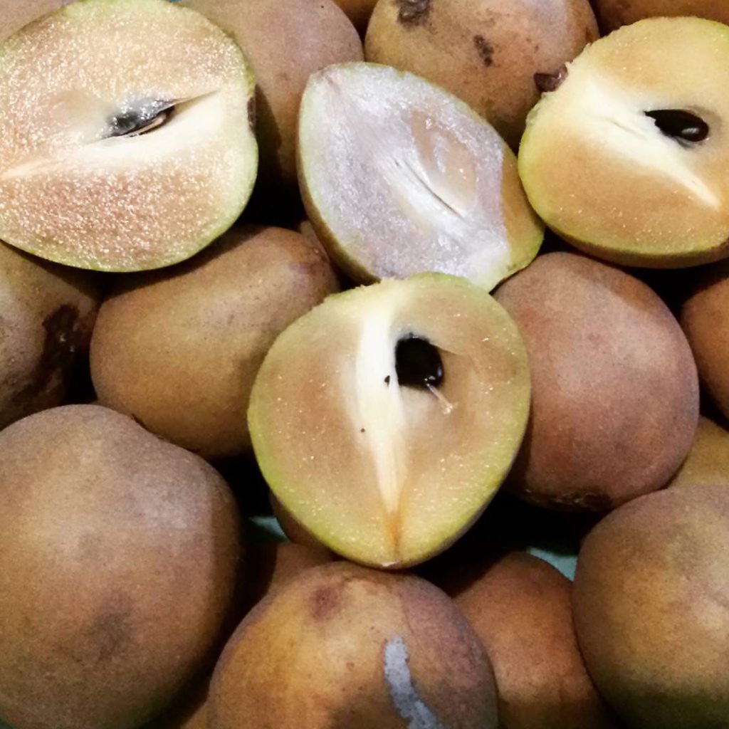 Sawo Sukatali, Buah Manis Khas Sumedang