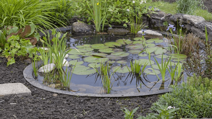 Pada daerah dengan iklim sejuk dan kualitas air bagus kolam natural cocok diterapkan. (Foto: Garden Lovers Club)
