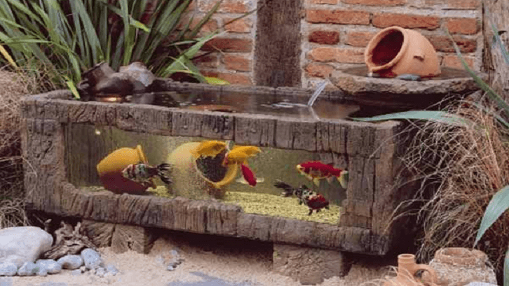 Model akuarium bisa menghemat tempat. (Foto: Woohome)