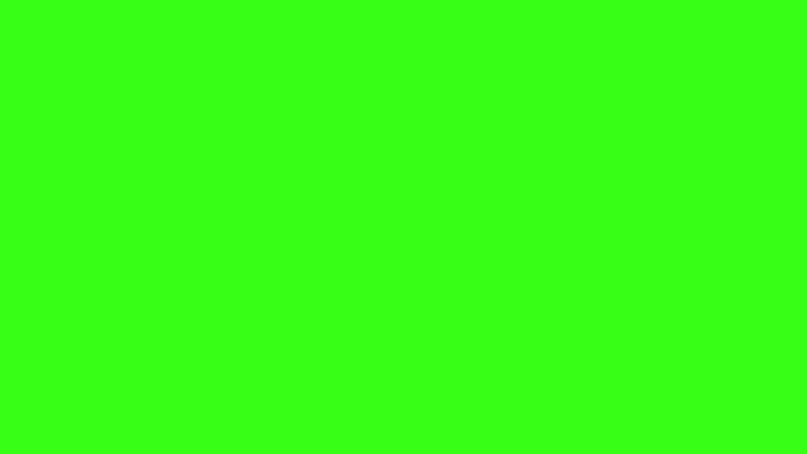 Contoh warna hijau neon. (Foto: Htmlcsscolor.com)