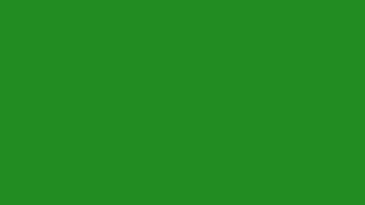 Contoh warna hijau forest (Foto: Hexcolor.com)
