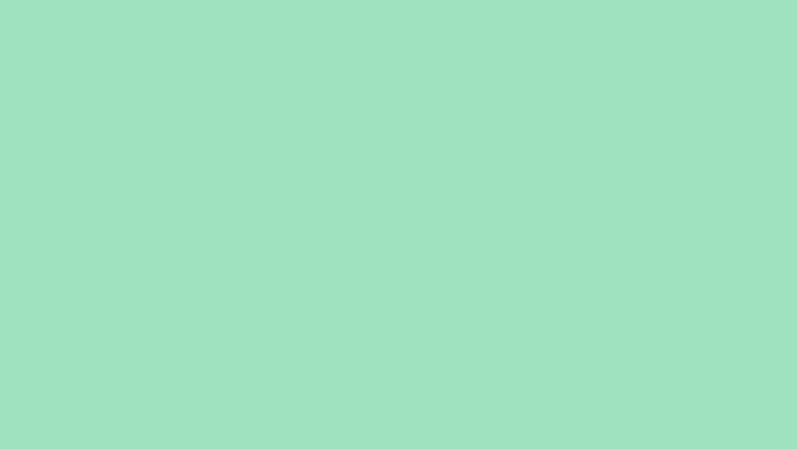 Contoh warna hijau seafoam. (Foto: HTML color codes)