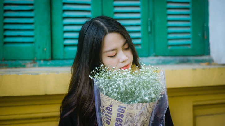 Bunga Baby Breath Bunga Baby Breath