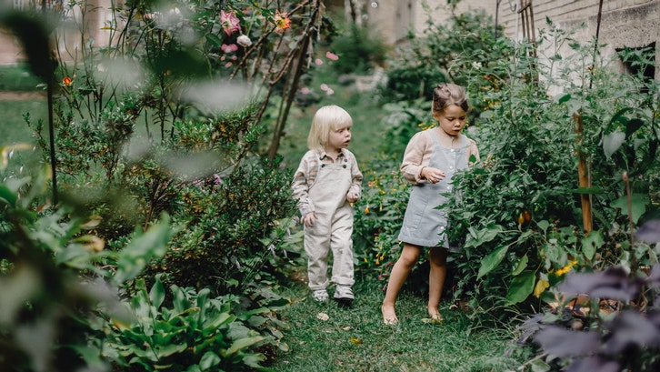 Taman belakang rumah minimalis untuk menambah keasrian hunian. (Foto: Pexels-Allan Mas)