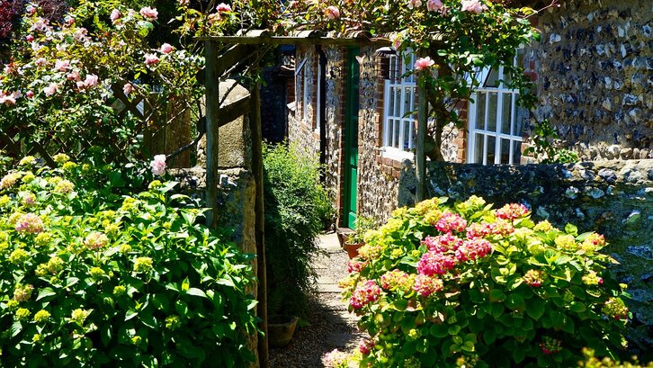 Taman belakang rumah minimalis berkesan romantis. (Foto: Pixabay-Mikes-Photography)