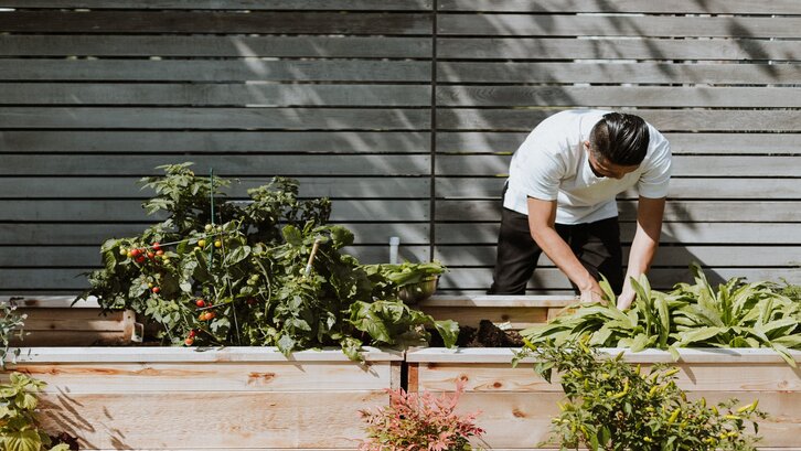 Taman belakang rumah minimalis harus harmonis dengan bagian interior juga. (Foto: Unsplash-Priscilla Du Preez)