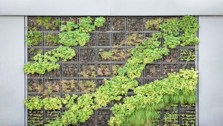 Taman belakang rumah minimalis vertikal dapat menjadi solusi jitu di lahan terbatas (Foto: Unsplash-Paweł Czerwiński)