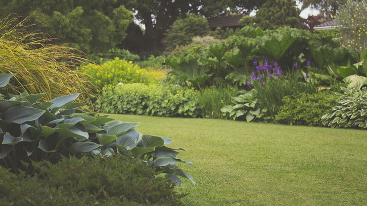 Taman belakang rumah minimalis menghadirkan harmoni dan ketenangan. (Foto: Pexels-Creative Vix)