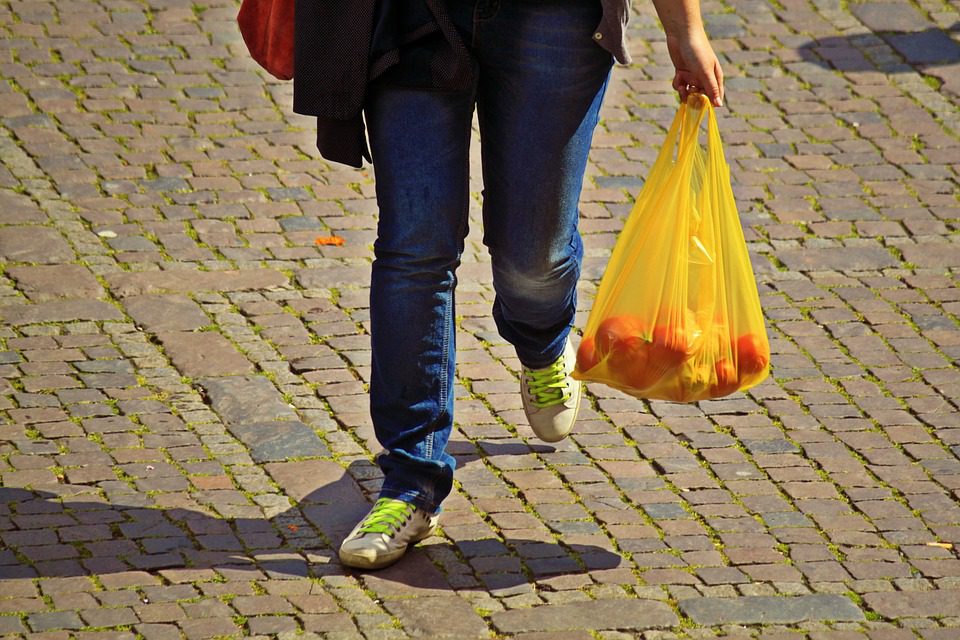 Kerajinan dari plastik kresek yang bisa ditiru misalnya bunga atau tanaman artificial, pouch serbaguna, maupun vas yang ekonomis. Sumber: Pixabay