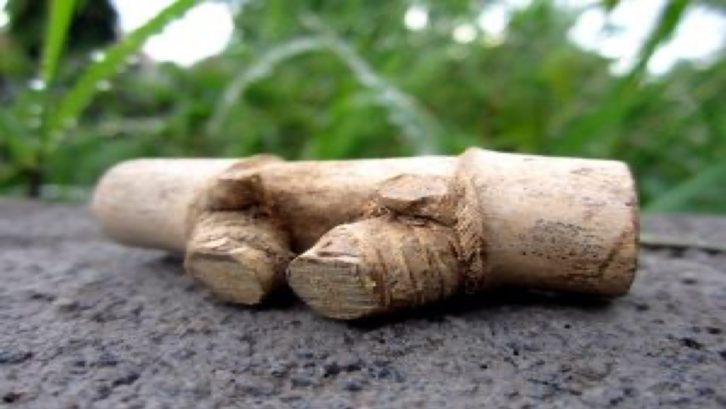 Beragam jenis-jenis bambu petuk. (Foto: Bambupetuk.com)