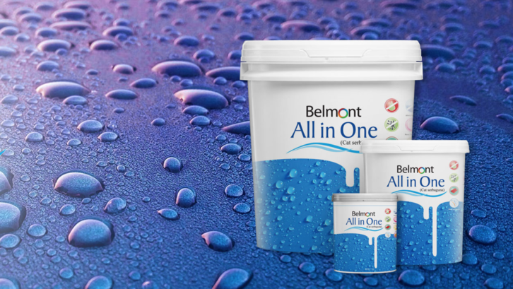 Cat Serbaguna ini selain waterproof juga berfungsi sebagai cat eksterior yang tahan cuaca. (Foto: Belmont.co.id)