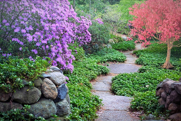 Batu alam yang mudah menyerap air dan tidak cepat berlumut cocok untuk taman. (Foto: Pixabay)