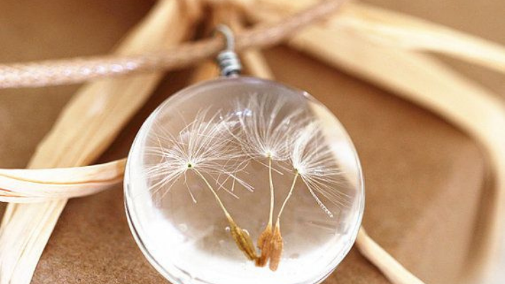 Dandelion memiliki tampilan yang indah dan bisa menjadi kalung yang menarik. (Foto: Working for Essex)