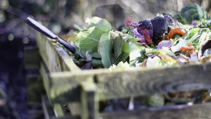 Sampah yang berasal dari sisa makanan bisa dimanfaatkan untuk menjadi kompos yang baik. (Foto: Pixabay - herb007)