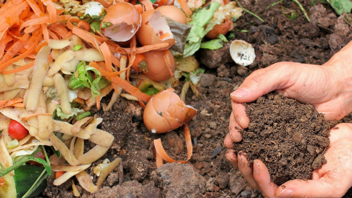 Tidak semua sampah organik memiliki tingkat tekstur kekerasan yang sama. (Foto: Pixabay - melGreenFR)