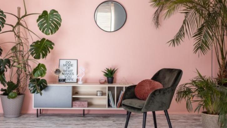 Warna Cat Bagian Dalam yang Cerah Pink Pastel