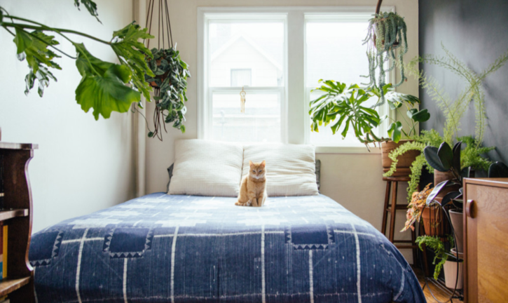 Desain Kamar Tidur Minimalis Ukuran 3x3 Tropical Desain Kamar Tidur Minimalis Ukuran 3x3 Tropical
