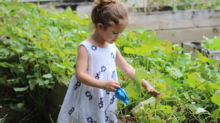 Memulai berkebun sendiri adalah salah satu cara untuk menyalurkan hobi Anda. (Foto: Pexels)