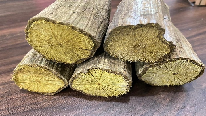 Masyarakat dayak menggunakan tumbuhan akar bajakah sebagai obat untuk mengembalikan stamina saat beraktivitas di hutan. Sumber: Kayu Bajakah Asli
