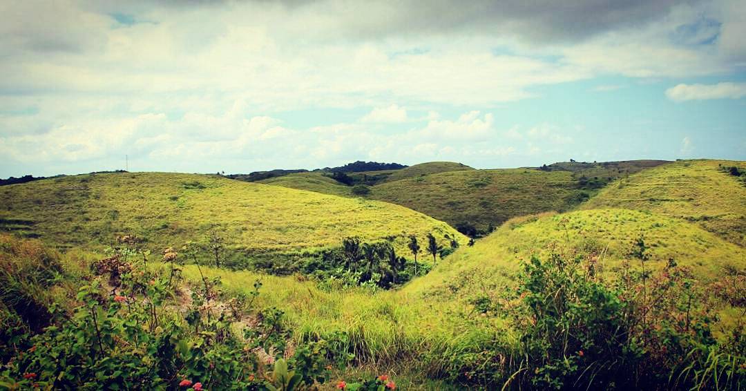 5 Spot Wisata Kekinian di Bali Utara Bikin Kamu Makin Keren di Instagram Bukit Teletubbies adalah salah satu dari 5 Spot Wisata Kekinian di Bali Utara Bikin Kamu Makin Keren di Instagram