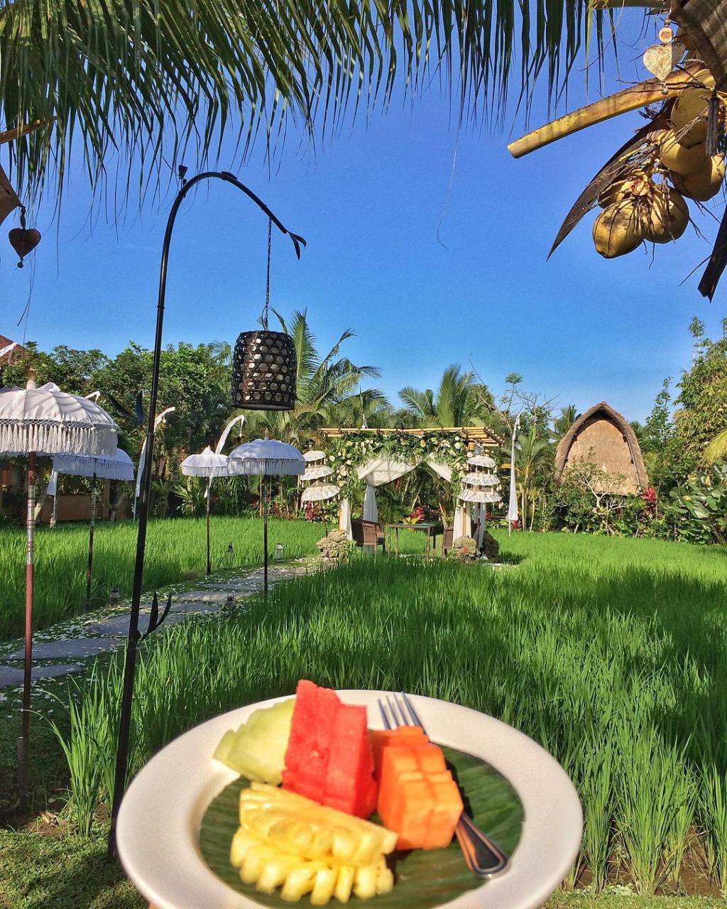 Restoran Di Bali Yang Wajib Dikunjungi Kalau Liburan Ke Bali! Restoran Di Bali Yang Wajib Dikunjungi Kalau Liburan Ke Bali!