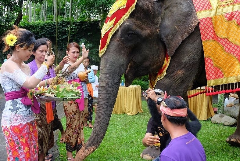 6 Upacara Tumpek di Bali Yang Perlu Kamu Tahu 6 Upacara Tumpek di Bali Yang Perlu Kamu Tahu