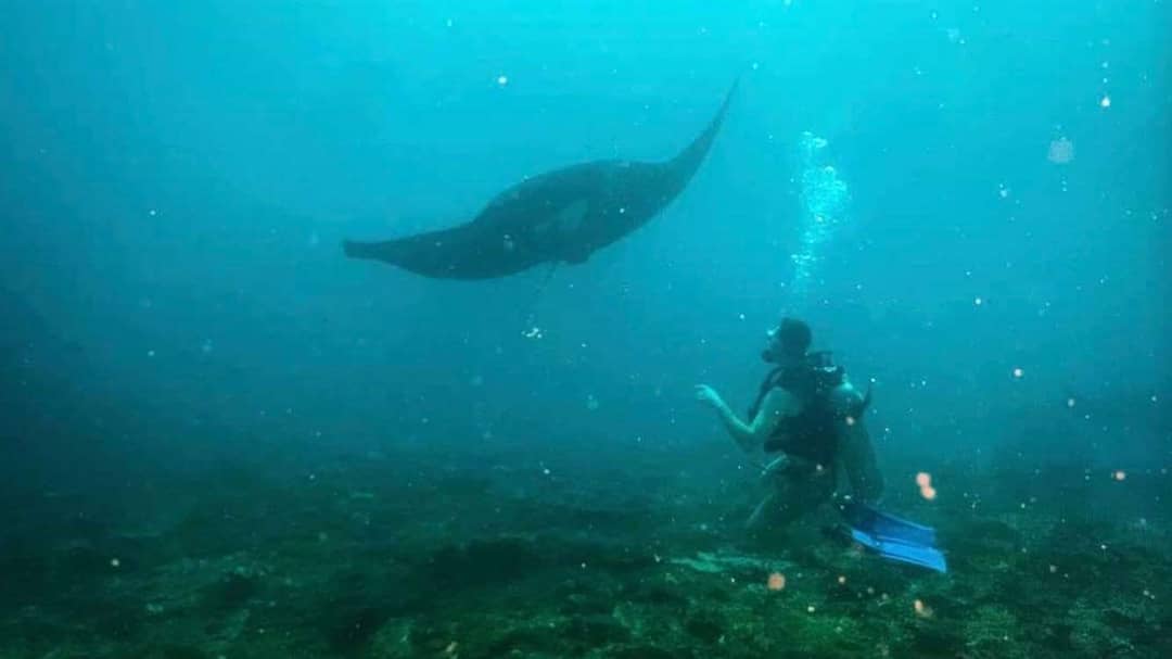 Aktifitas Wisata Nusa Lembongan Terbaik!