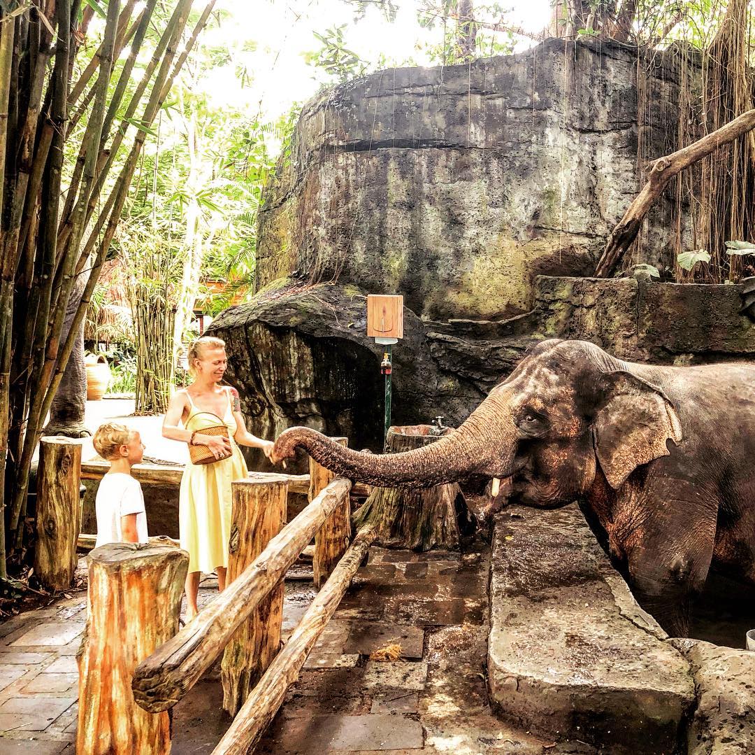 4 Tempat Wisata di Bali Ramah Anak Kecil! 4 Tempat Wisata di Bali Ramah Anak Kecil!