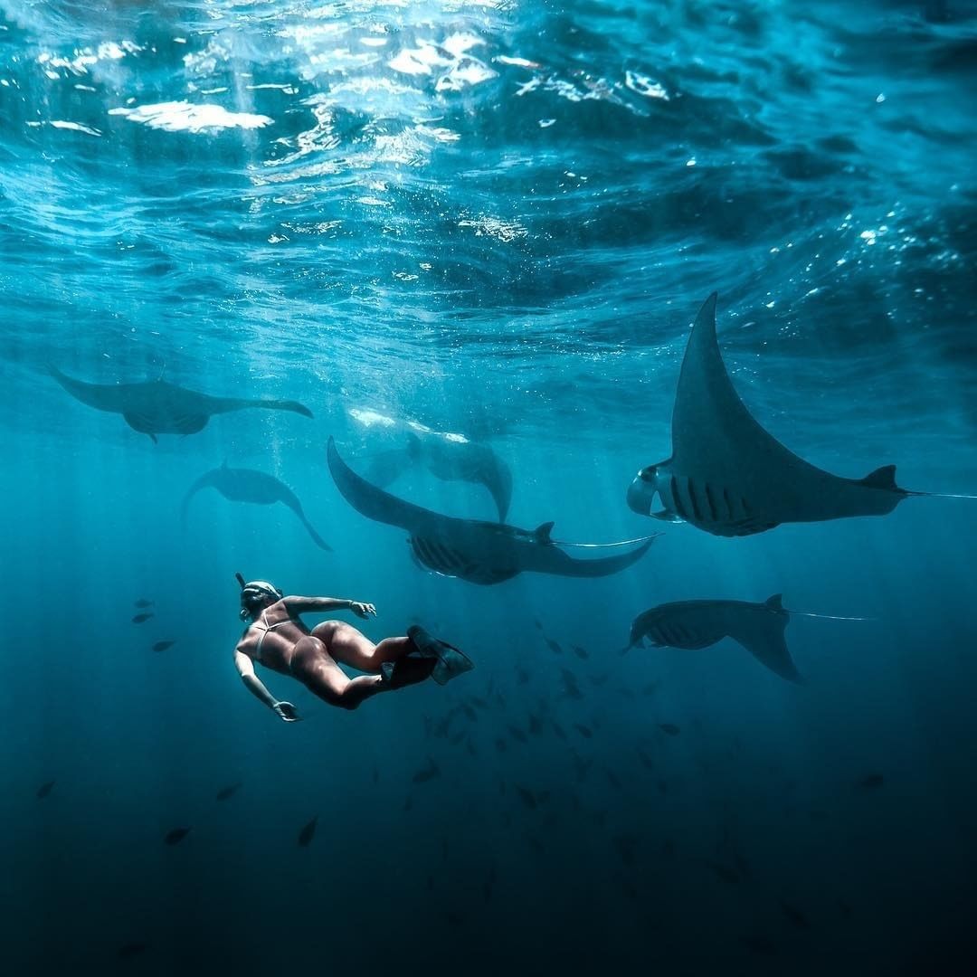 Aktifitas Wisata Nusa Lembongan Terbaik!