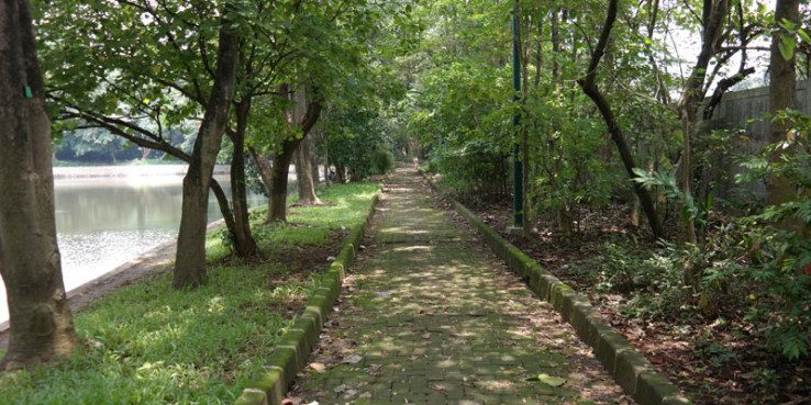 2. Hutan Kota Jakarta Blok P, Prapanca