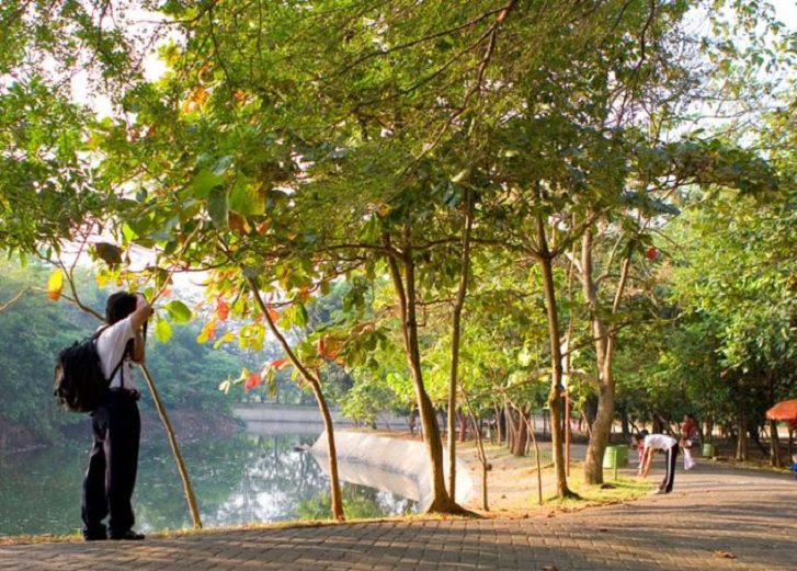 1. Hutan Kota Jakarta Srengseng, Kembangan