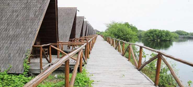 1. Hutan Kota Jakarta Mangrove, Pantai Indah Kapuk