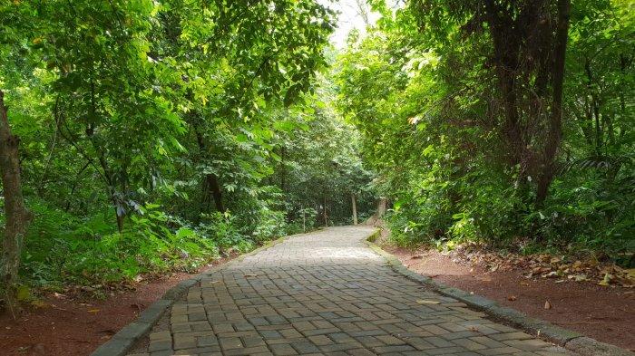 1. Hutan Kota Jakarta Cijantung, Pasar Rebo