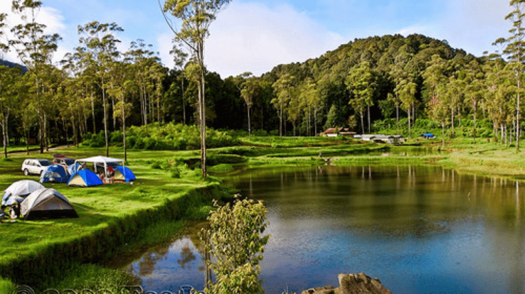 5. Tempat Piknik di Bandung: Ranca Upas