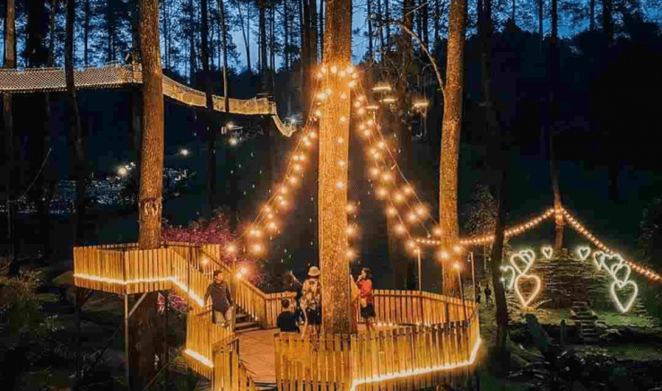 7. Tempat Piknik di Bandung: Orchid Forest Cikole