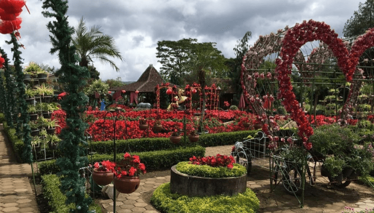 9. Tempat Piknik di Bandung: Kebun Bunga Begonia