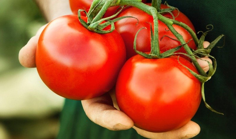 25 Rahasia Dapur Yang Menarik Untuk Diketahui